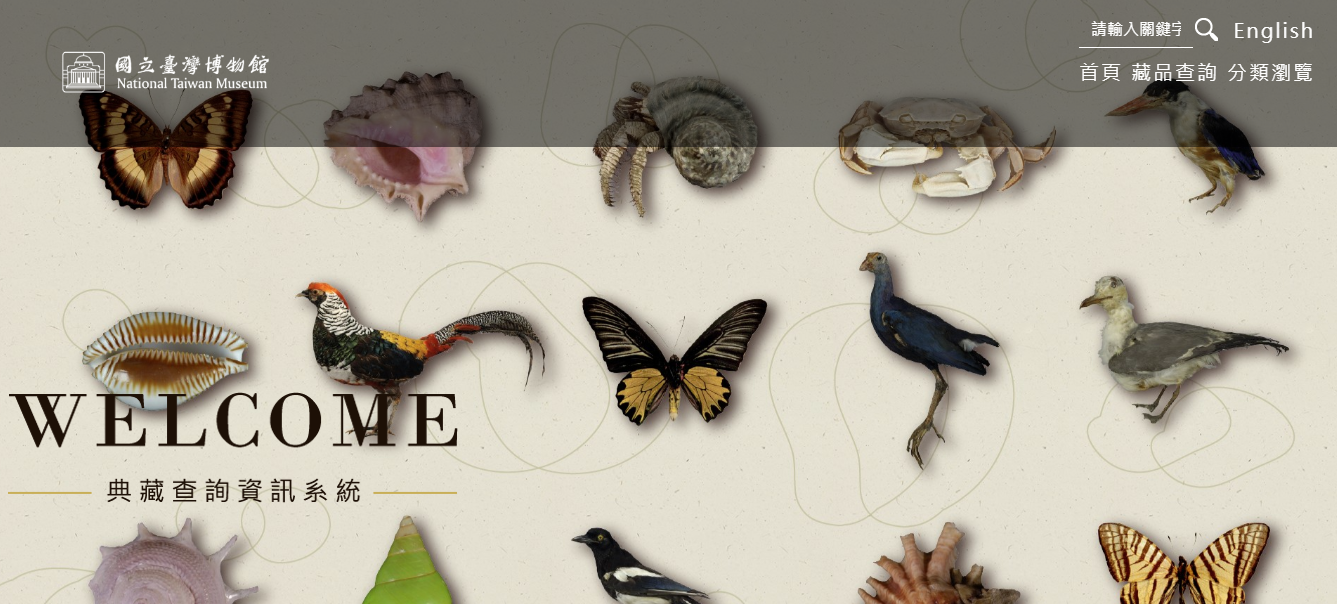 國立臺灣博物館—典藏查詢資訊系統